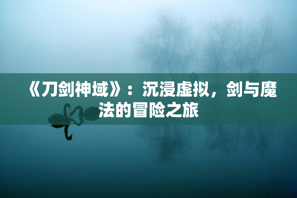 《刀剑神域》：沉浸虚拟，剑与魔法的冒险之旅