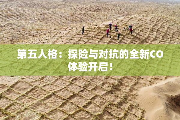 第五人格：探险与对抗的全新CO体验开启！