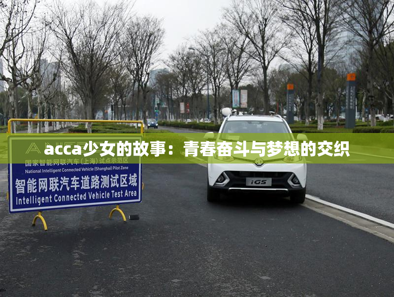acca少女的故事：青春奋斗与梦想的交织