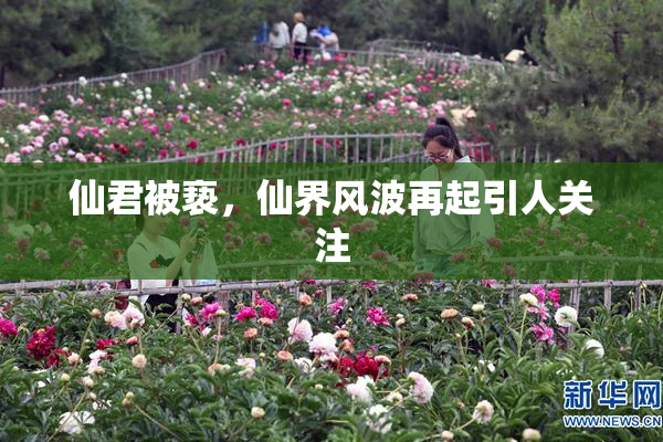 仙君被亵，仙界风波再起引人关注