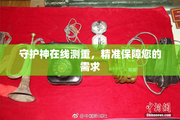 守护神在线测重，精准保障您的需求