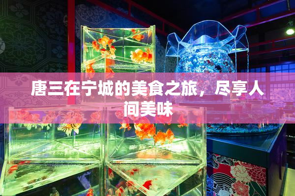 唐三在宁城的美食之旅，尽享人间美味