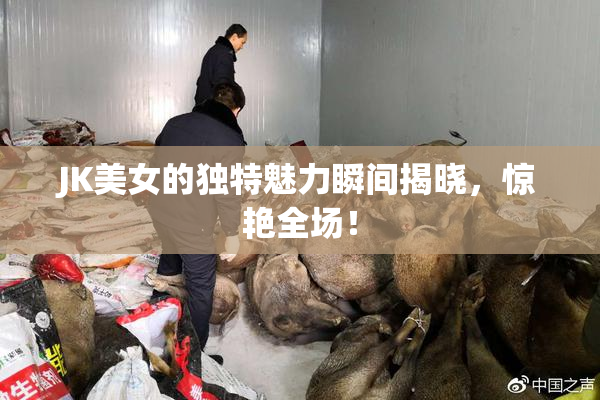 JK美女的独特魅力瞬间揭晓，惊艳全场！