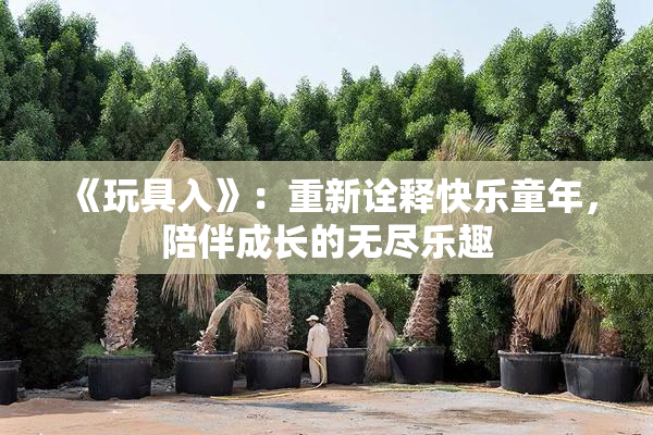 《玩具入》：重新诠释快乐童年，陪伴成长的无尽乐趣