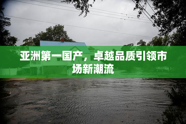 亚洲第一国产，卓越品质引领市场新潮流