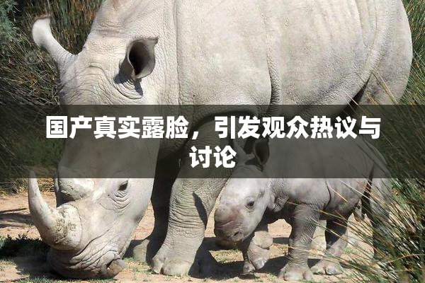 国产真实露脸，引发观众热议与讨论