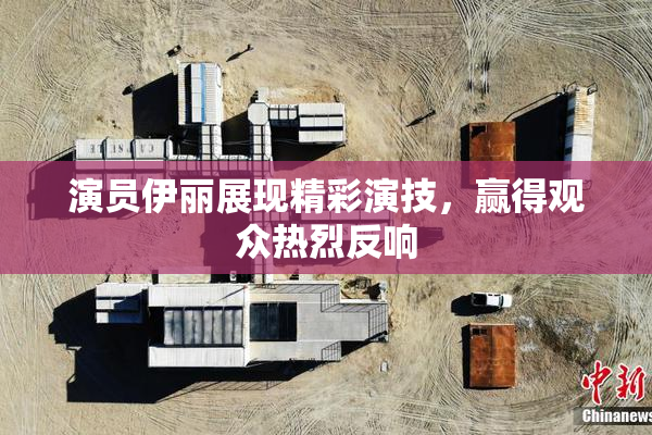 演员伊丽展现精彩演技，赢得观众热烈反响