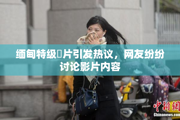 缅甸特级婬片引发热议，网友纷纷讨论影片内容