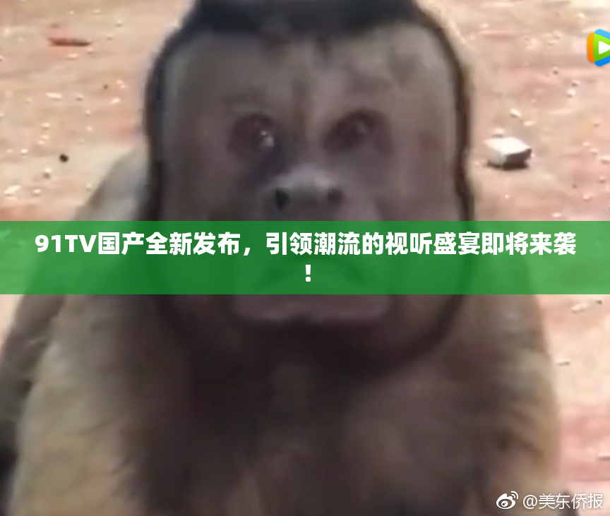 91TV国产全新发布，引领潮流的视听盛宴即将来袭！