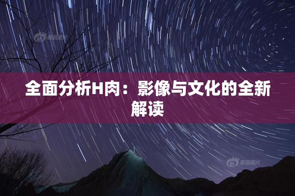 全面分析H肉：影像与文化的全新解读
