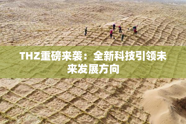 THZ重磅来袭：全新科技引领未来发展方向