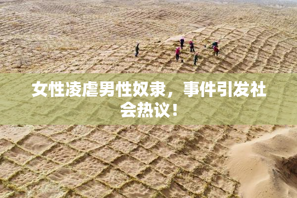 女性凌虐男性奴隶，事件引发社会热议！