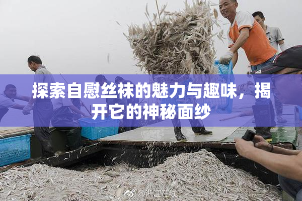 探索自慰丝袜的魅力与趣味，揭开它的神秘面纱