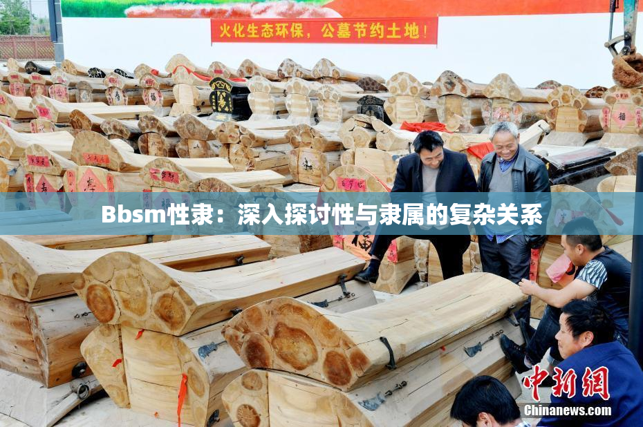 Bbsm性隶：深入探讨性与隶属的复杂关系