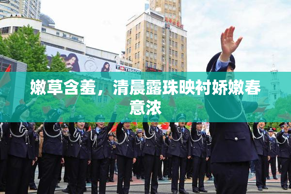 嫩草含羞，清晨露珠映衬娇嫩春意浓