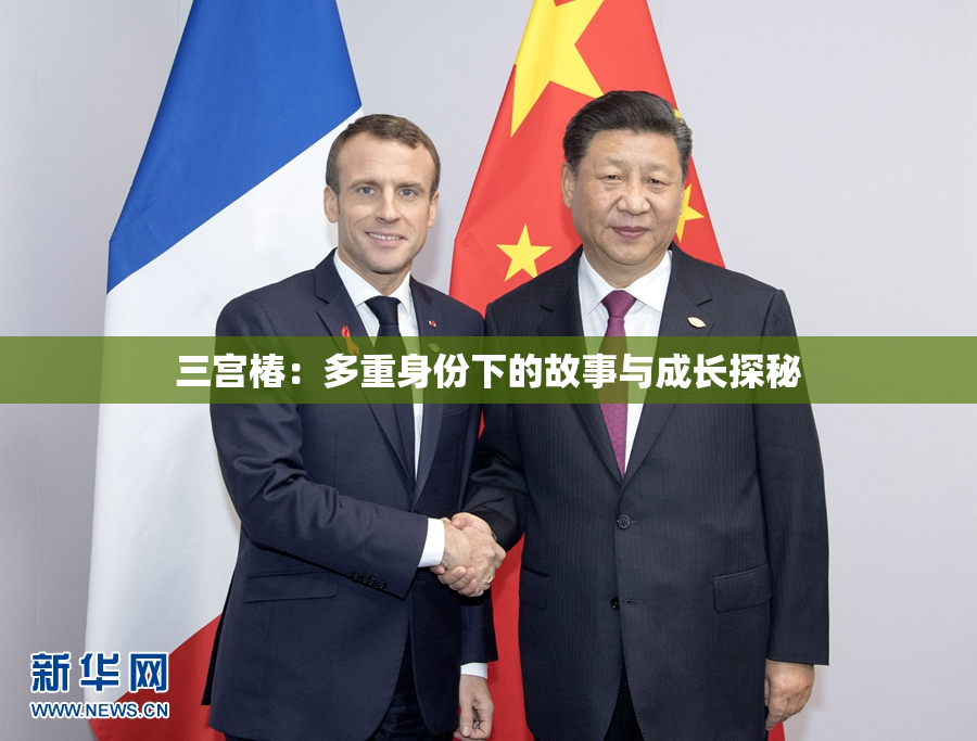 三宫椿：多重身份下的故事与成长探秘
