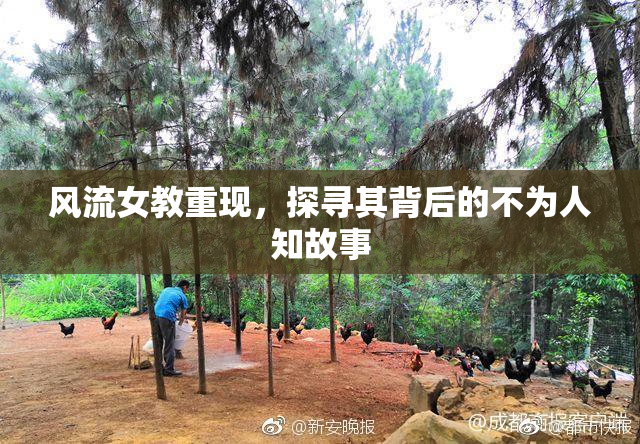 风流女教重现，探寻其背后的不为人知故事