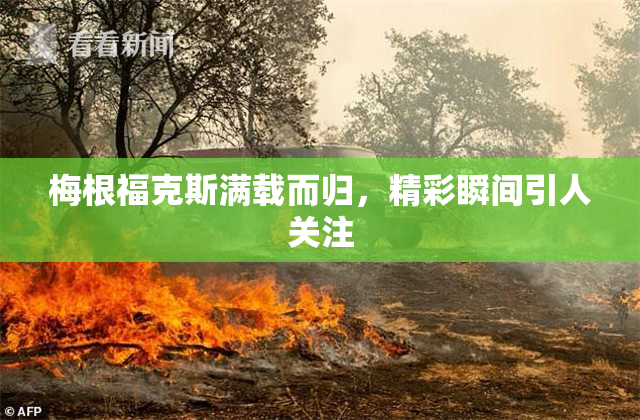 梅根福克斯满载而归，精彩瞬间引人关注