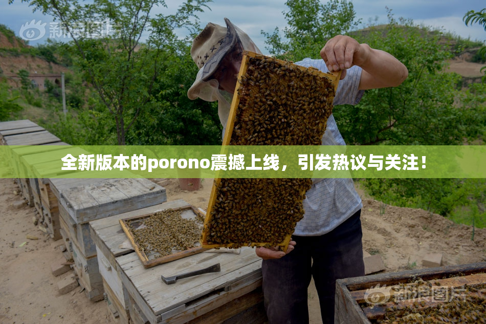 全新版本的porono震撼上线，引发热议与关注！