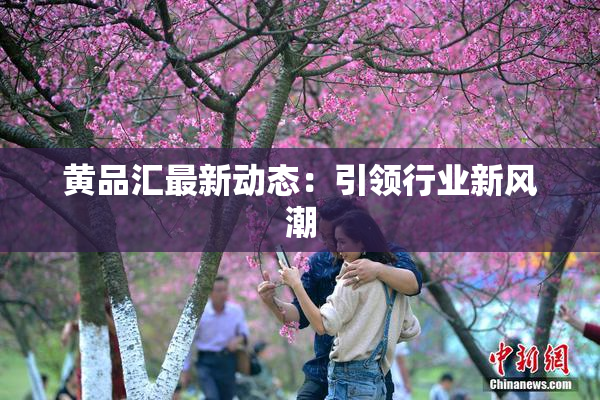黄品汇最新动态：引领行业新风潮