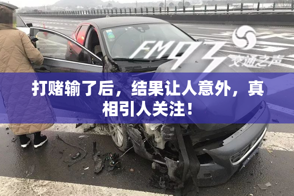 打赌输了后，结果让人意外，真相引人关注！