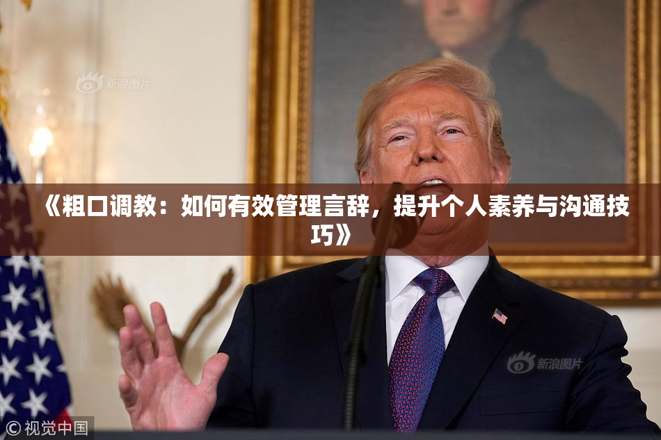 《粗口调教：如何有效管理言辞，提升个人素养与沟通技巧》