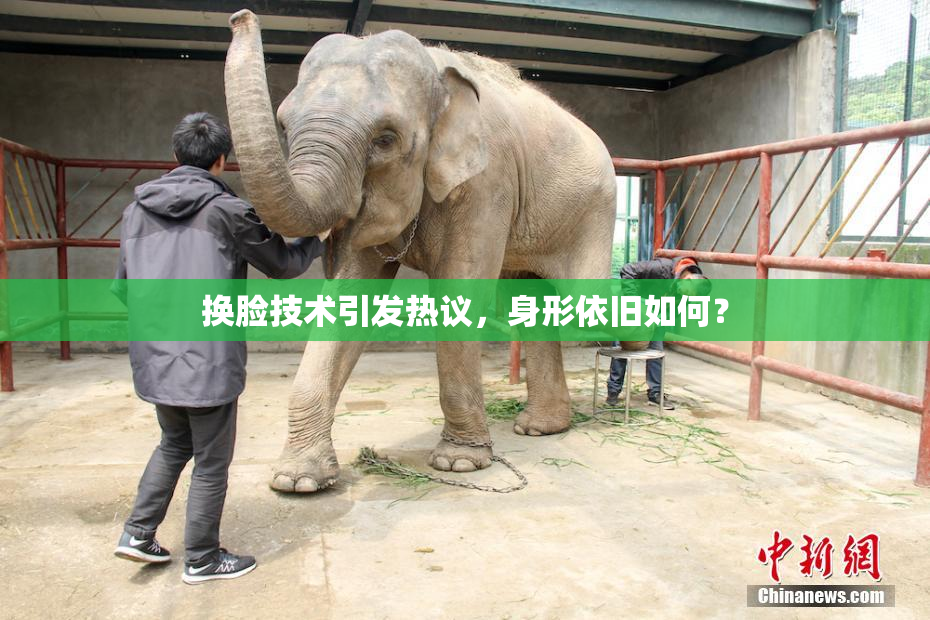 换脸技术引发热议，身形依旧如何？