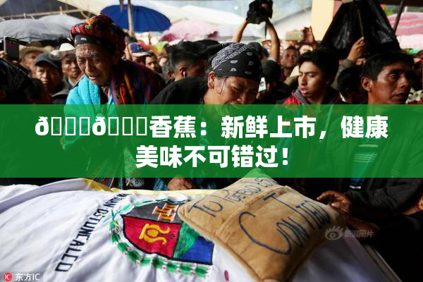 🔞🔞香蕉：新鲜上市，健康美味不可错过！