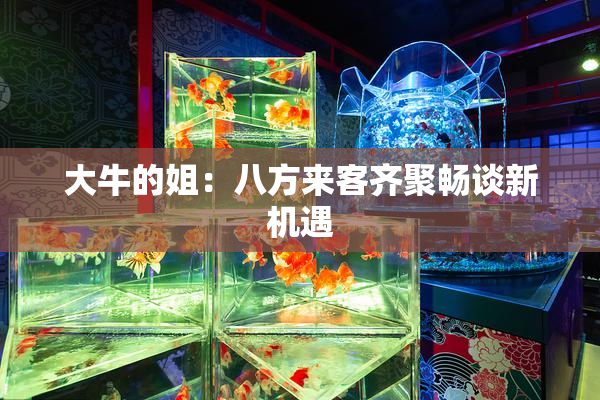 大牛的姐：八方来客齐聚畅谈新机遇