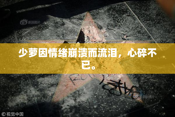 少萝因情绪崩溃而流泪，心碎不已。
