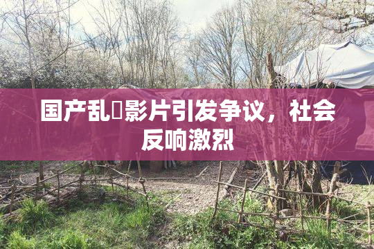 国产乱婬影片引发争议，社会反响激烈