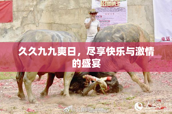 久久九九爽日，尽享快乐与激情的盛宴