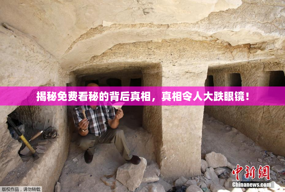 揭秘免费看秘的背后真相，真相令人大跌眼镜！