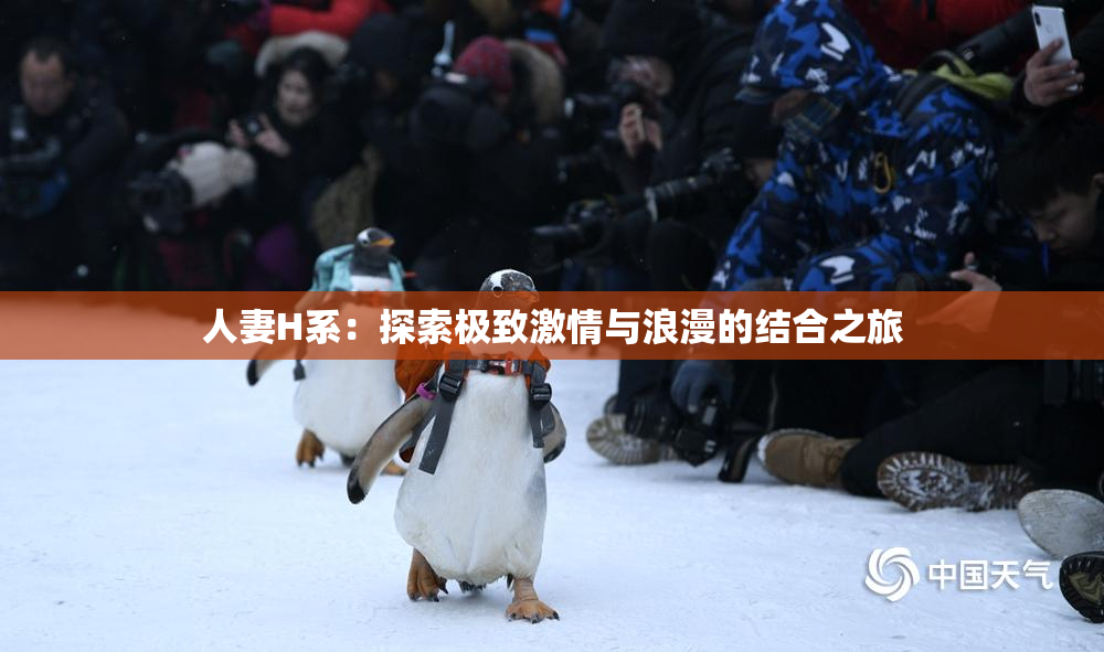 人妻H系：探索极致激情与浪漫的结合之旅