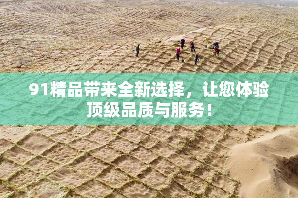 91精品带来全新选择，让您体验顶级品质与服务！