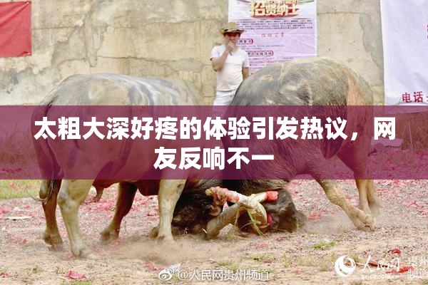 太粗大深好疼的体验引发热议，网友反响不一