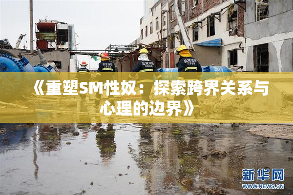 《重塑SM性奴：探索跨界关系与心理的边界》