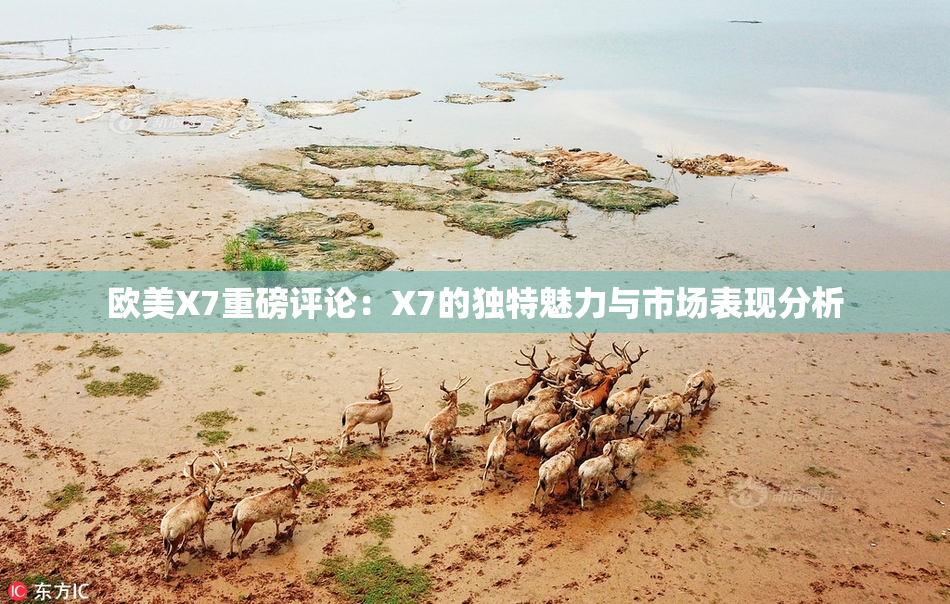 欧美X7重磅评论：X7的独特魅力与市场表现分析