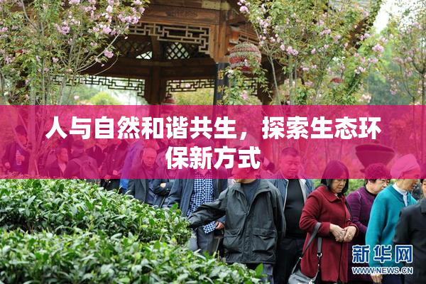 人与自然和谐共生，探索生态环保新方式
