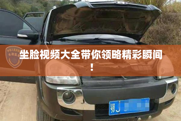 坐脸视频大全带你领略精彩瞬间！