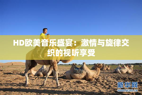 HD欧美音乐盛宴：激情与旋律交织的视听享受