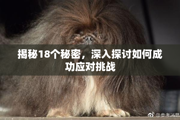 揭秘18个秘密，深入探讨如何成功应对挑战