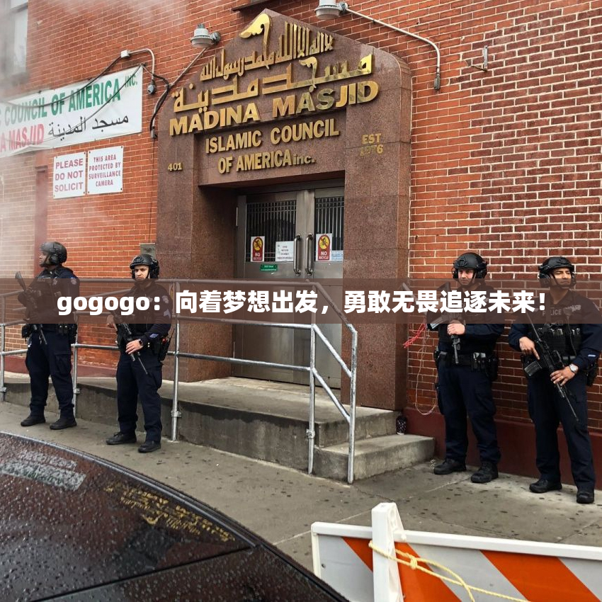 gogogo：向着梦想出发，勇敢无畏追逐未来！