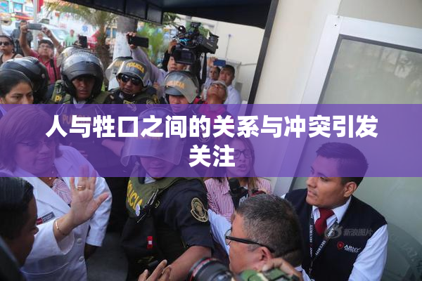 人与牲口之间的关系与冲突引发关注