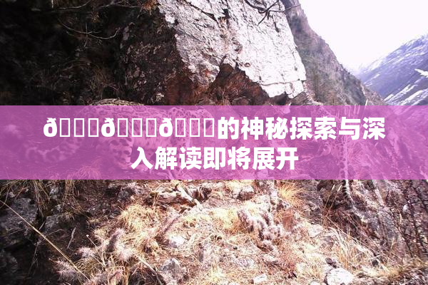 🍆🍑🔞的神秘探索与深入解读即将展开