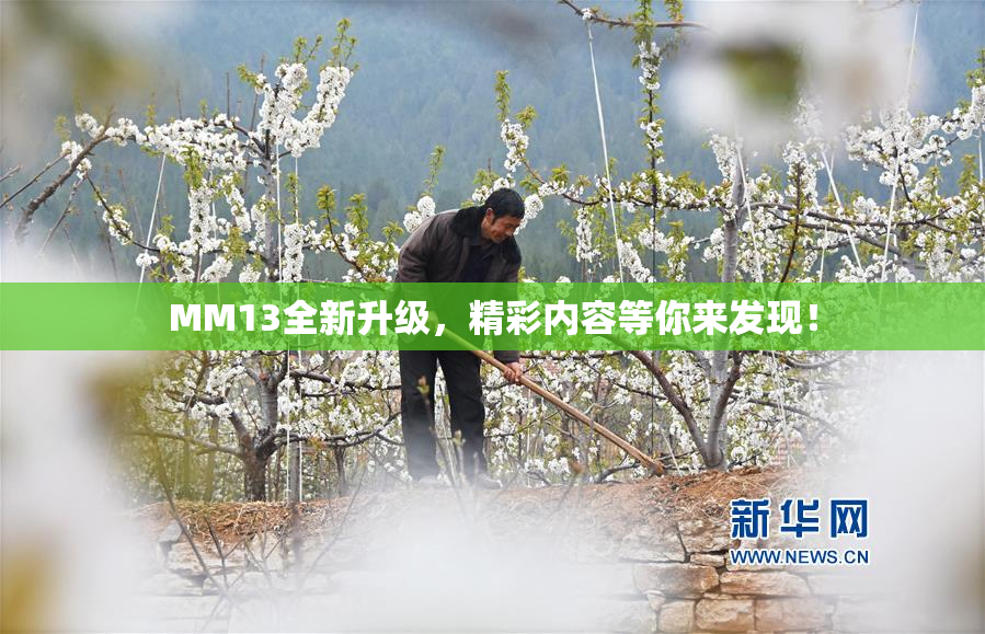 MM13全新升级，精彩内容等你来发现！