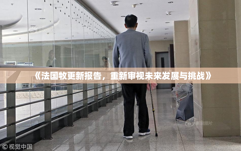 《法国牧更新报告，重新审视未来发展与挑战》