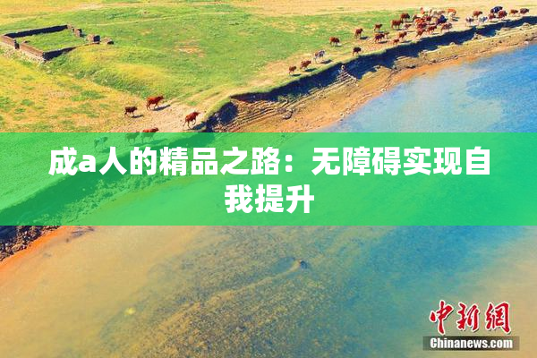 成a人的精品之路：无障碍实现自我提升