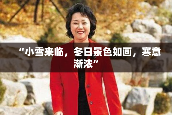 “小雪来临，冬日景色如画，寒意渐浓”