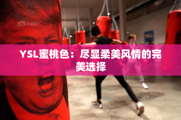YSL蜜桃色：尽显柔美风情的完美选择